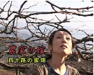 农家の嫁四十路の蜜畑